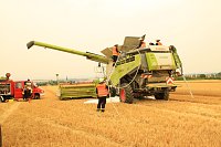 Bild: Erntefahrzeug berannte