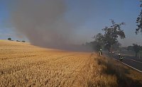 Flächenbrand fordert Einsatzkräfte nahe Wasserthaleben Bild: Flächenbrand fordert Einsatzkräfte nahe Wasserthaleben