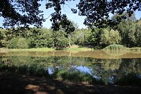 Wie sieht es am Pfaffenteich aus? Bild: Wie sieht es am Pfaffenteich aus?
