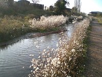 Bild: Natur im November