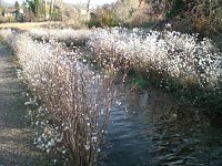 Bild: Natur im November