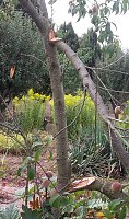 Sondershausen wartet auf Regen Bild: Sondershausen wartet auf Regen