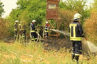 Bild: Fl&auml;chenbrand zwischen Gro&szlig;- und Kleinfurra