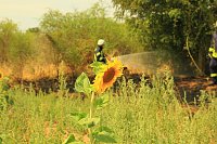 Bild: Fl&auml;chenbrand zwischen Gro&szlig;- und Kleinfurra