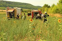 Bild: Fl&auml;chenbrand zwischen Gro&szlig;- und Kleinfurra