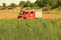 Bild: Fl&auml;chenbrand zwischen Gro&szlig;- und Kleinfurra