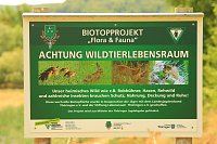 Bild: Fl&auml;chenbrand zwischen Gro&szlig;- und Kleinfurra