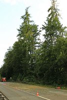 Unwetter über Sondershausen Bild: Unwetter über Sondershausen