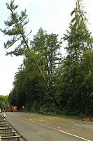 Unwetter über Sondershausen Bild: Unwetter über Sondershausen