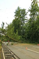 Unwetter über Sondershausen Bild: Unwetter über Sondershausen