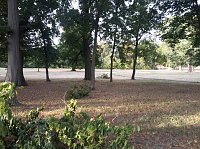 Bild: Schlosspark zerzaust