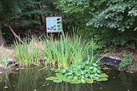 Sommerfest im Wohngebiet Bild: Sommerfest im Wohngebiet