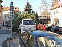 Bild: Weihnachtsbaum Sondershausen