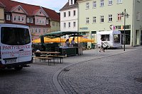 Bild: Pflanzen &uuml;ber Pflanzen