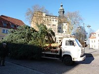 Bild: Weihnachtsbaum Sondershausen