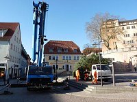 Bild: Weihnachtsbaum Sondershausen