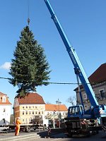 Bild: Weihnachtsbaum Sondershausen