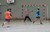 Handballligen kommen ins Laufen Bild: Handballligen kommen ins Laufen