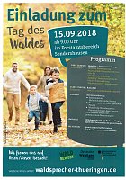 Waldtag Bild: Waldtag