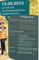 Waldtag Bild: Waldtag