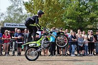 Bild: Emmenrausch am Stausee Kelbra