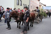 Bauernheer eroberte Bad Frankenhausen Bild: Bauernheer eroberte Bad Frankenhausen