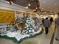 Bild: Start in den Advent
