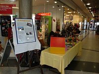 Bild: Start in den Advent