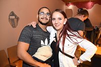 United Flash in der Destille Bild: United Flash in der Destille