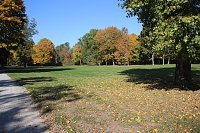Bild: Wie weiter mit dem Schlosspark Sondershausen?