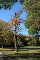 Bild: Wie weiter mit dem Schlosspark Sondershausen?