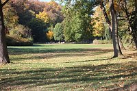 Bild: Wie weiter mit dem Schlosspark Sondershausen?