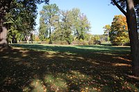 Bild: Wie weiter mit dem Schlosspark Sondershausen?