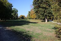 Bild: Wie weiter mit dem Schlosspark Sondershausen?