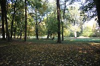 Bild: Wie weiter mit dem Schlosspark Sondershausen?