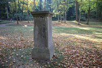Bild: Wie weiter mit dem Schlosspark Sondershausen?