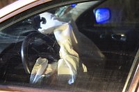 Leichtverletzter auf Ortsumfahrung B4 Bild: Leichtverletzter auf Ortsumfahrung B4