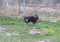 Bild: Tibor