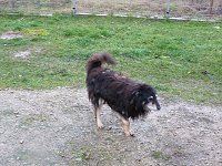 Bild: Tibor