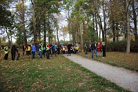 Bild: Stadtparklauf in Sondershausen (1)