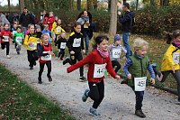 Bild: Stadtparklauf in Sondershausen (1)