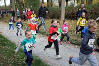 Bild: Stadtparklauf in Sondershausen (1)