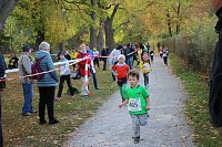 Bild: Stadtparklauf in Sondershausen (1)