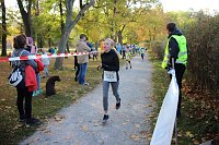 Bild: Stadtparklauf in Sondershausen (2)