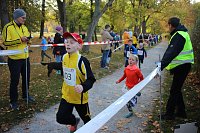 Bild: Stadtparklauf in Sondershausen (2)