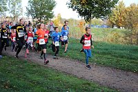 Bild: Stadtparklauf in Sondershausen (2)