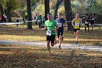Bild: Stadtparklauf in Sondershausen (2)