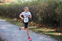 Bild: Stadtparklauf in Sondershausen (2)