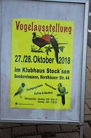 Bild: 50 Jahre Ziergefl&uuml;gelausstellung in Sondershausen