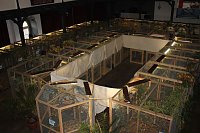 Bild: 50 Jahre Ziergefl&uuml;gelausstellung in Sondershausen